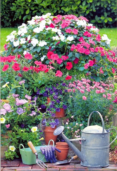 "Røde og hvite blomster i urne" EAN 5052738595797