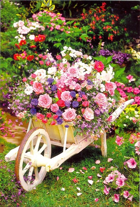 "Blomster i trillebår" EAN 5052738595797