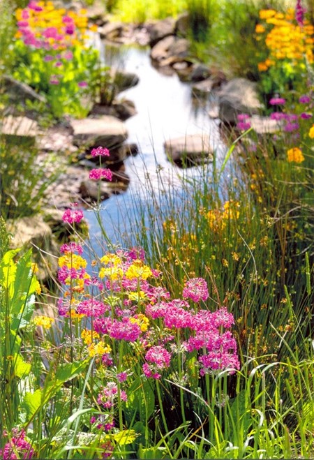 "Hagedam med rosa og gule blomster" EAN 5052738595797