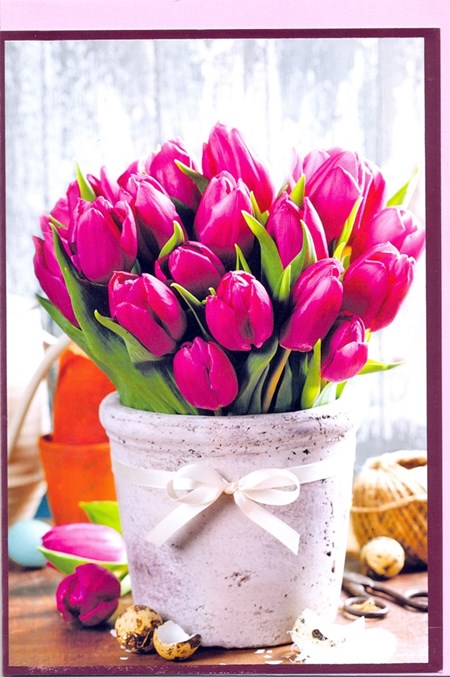 "Rød tulipaner i hvit krukke", Dblt blomsterkort rosa konv