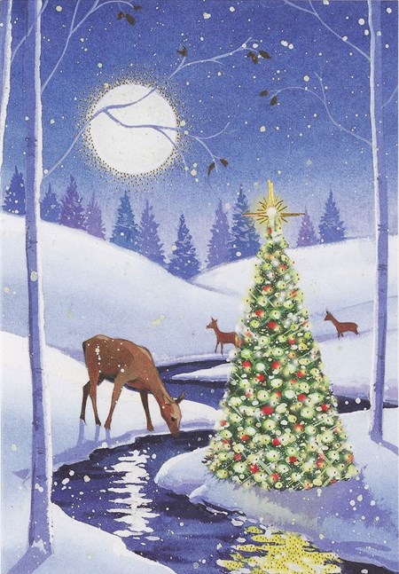 "Tranquil Stream" Small Boxed Christmas Cards 20/21