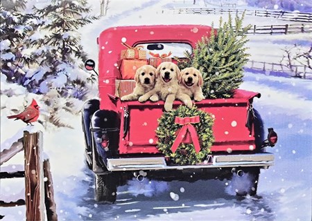 "Bringing Home the Tree" Deluxe Boxed Christmas Cards 20/21