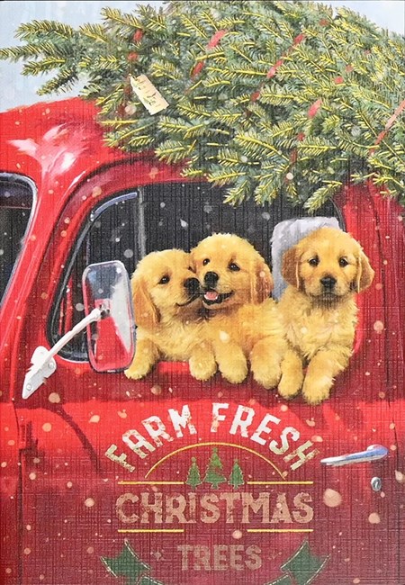 "Festive Pups" Small Boxed Christmas Cards 20/21