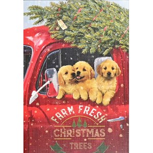 "Festive Pups" Small Boxed Christmas Cards 20/21