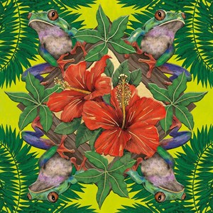 Matthew Williamson "Jungle Hopper" dobbelt kvadratisk kort