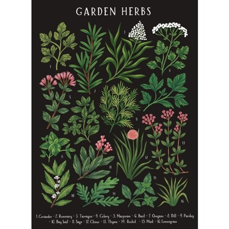 "Kaja Kajfez - Garden Herbs" Dobbelt kunstkort