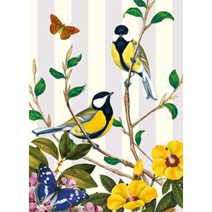 "Natural History Museum - Great Tit" Dobbelt kort