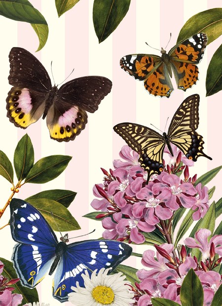 "Butterflies" Natural History Museum Kunst-kort