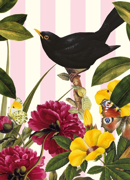 "Blackbird" Dobbelt kunstkort