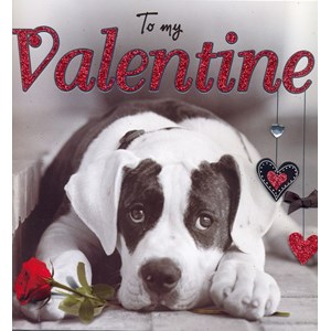 Valentine, "To My Valentine ", fotografisk hund, kort i eske