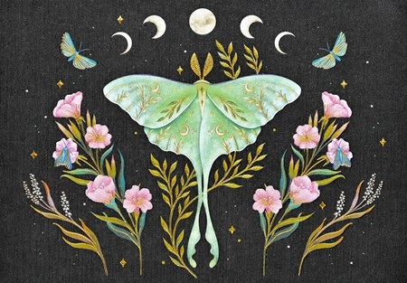 "Luna Moth" Notecards 14 kort/15 konvolutter