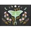 "Luna Moth" Notecards 14 kort/15 konvolutter