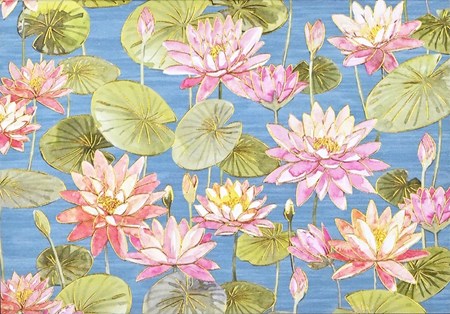 "Water Lilies" Notecards 14/15