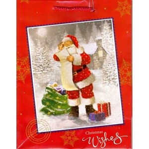 "Traditional Santa", Gavepose shopper
